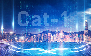 工信部重磅發(fā)文，Cat-1/NB-IoT再次站上新風口